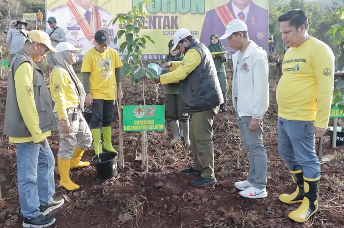 Gunung Pamaton Dihijaukan, Peserta Penanaman Serentak di Kalsel ...