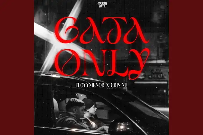 Lirik Lagu Gata Only - Floyymenor ft. Crish MJ, Lengkap Terjemahan