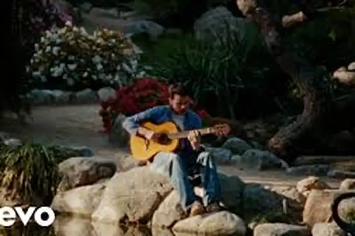 The Table – Rex Orange Countyの歌詞、翻訳付き
