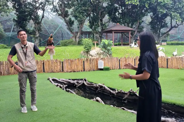 Bird Presentation di Taman Burung Jagat Satwa Nusantara TMII