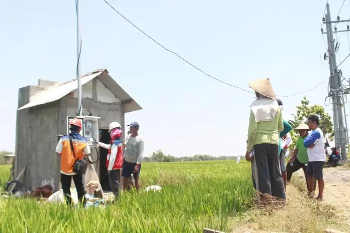 Program Electrifying Agriculture (EA) dari PT PLN (Persero)