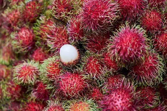 Resep Manisan Rambutan yang Segar dan Nikmat Bikinnya Cuma 3 Step ...