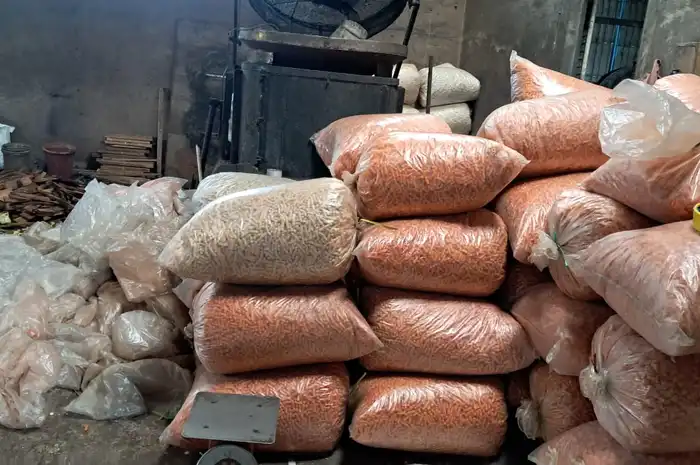Produksi makanan ringan MyZa Snack