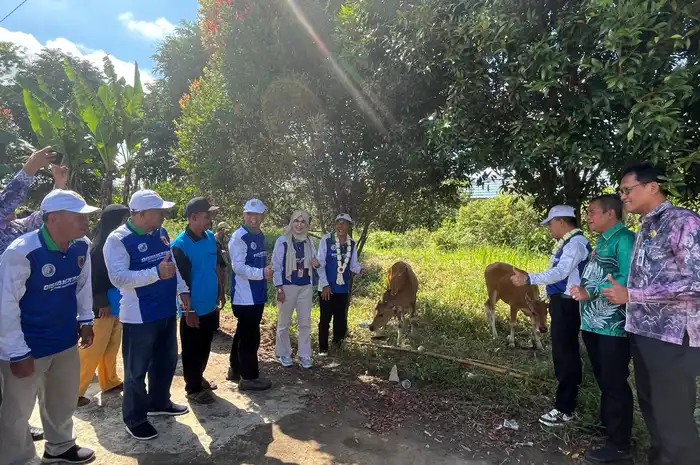Penyerahan bantuan sapi