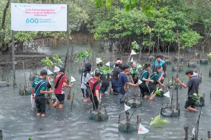 Kegiatan tanam mangrove oleh Telkomsel dan Cirowaste Balikpapan