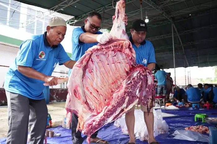 Kilang Plaju Tebar Kepedulian Iduladha 1447 H, Salurkan Lebih dari 5 Ribu Kantong Daging Qurban untuk Masyarakat