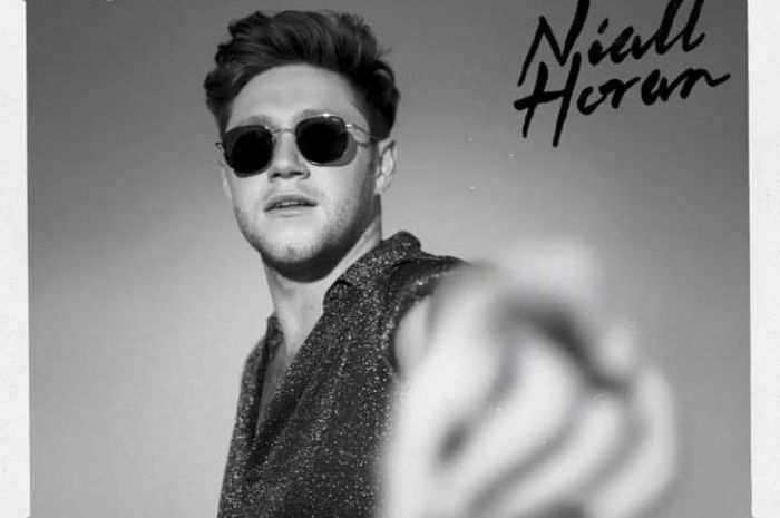 Ini Lirik Lagu dan Chord Gitar 'Nice To Meet Ya' Niall