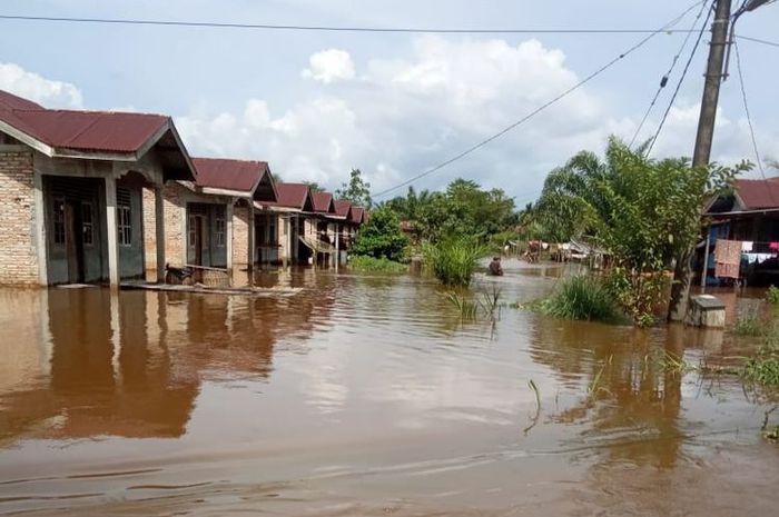 Banjir di Banda Aceh, Walikota Menggenangi Hampir Seluruh Kota  Sonora.id