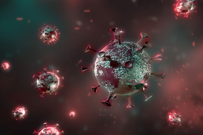 Ilustrasi virus corona.