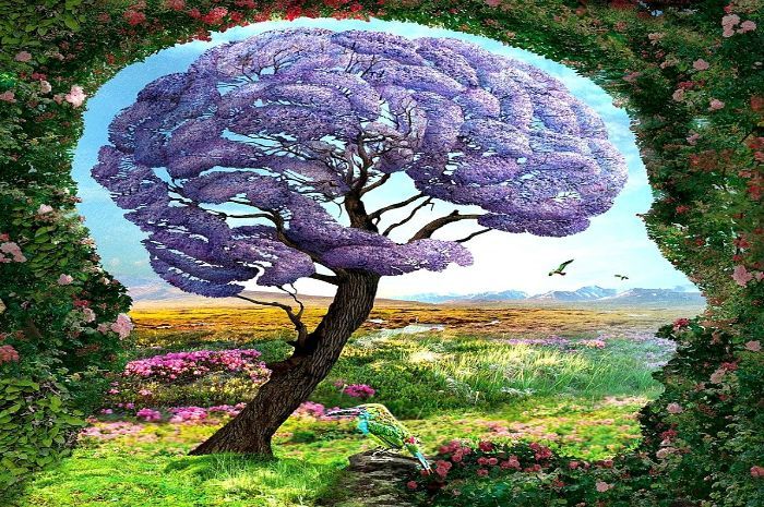 Tes Kepribadian Ungkap Masalah Terbesar dalam Hidupmu