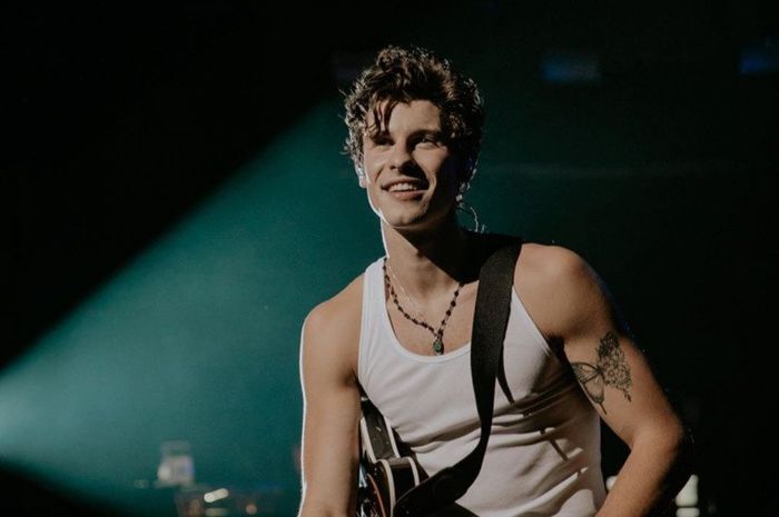 Terjemahan Lirik Lagu ‘There's Nothing Holdin' Me Back’ – Shawn Mendes