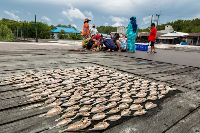 UMKM Ibu-ibu istri nelayan di Kutai Kartanegara, Kalimantan Timur sedang mengolah hasil ikan hasil binaan Pertamina.