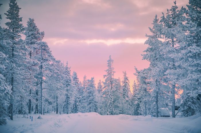 Ilustrasi salju di musim dingin