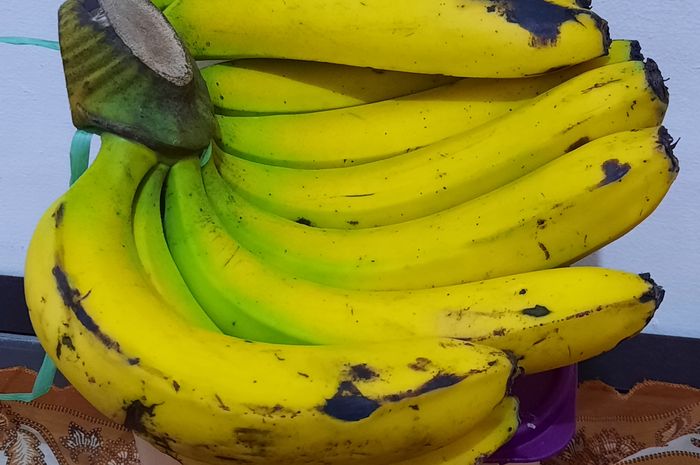 Foto: Ilustrasi Pisang / Dok. Pribadi