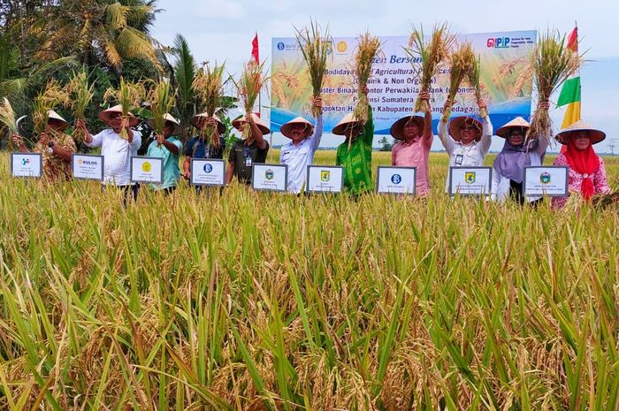 Kolaborasi Klaster Industri Desa: Kunci Sukses Produk Unggulan Tayem