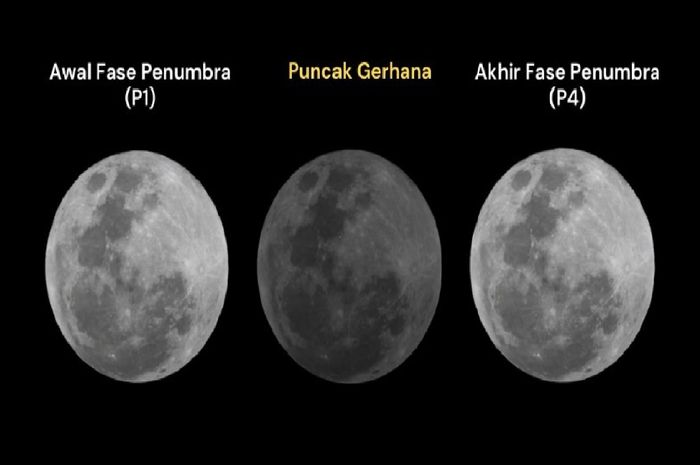 Cara Melihat Gerhana Bulan Penumbra Mei Link Dan Waktunya Semua Halaman Sonora Id