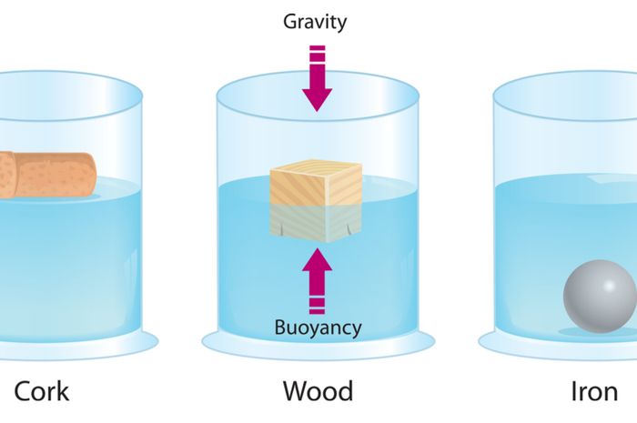 Bunyi Hukum Archimedes Dan Rumusnya Sonora Id