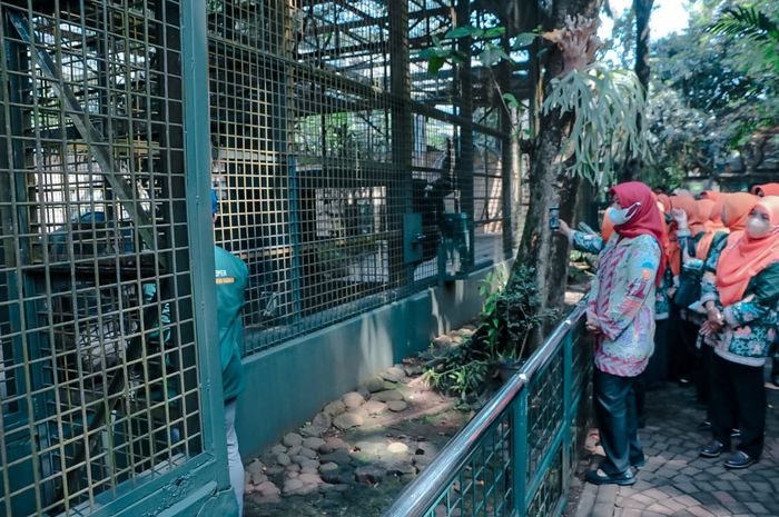 Istri Pj Gubernur DKI Jakarta, Mirdiyanti Budi Hartono pada saat memberikan nama sepasang komodo penghuni baru di kandang Komodo Taman Margasatwa Ragunan, Jakarta Selatan, Jumat (26/5/2023). 