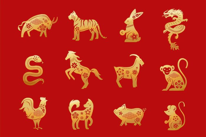 Zodiac Forecast for Tomorrow: Rooster, Dog, and Pig Zodiac Predictions – Sonora.ID