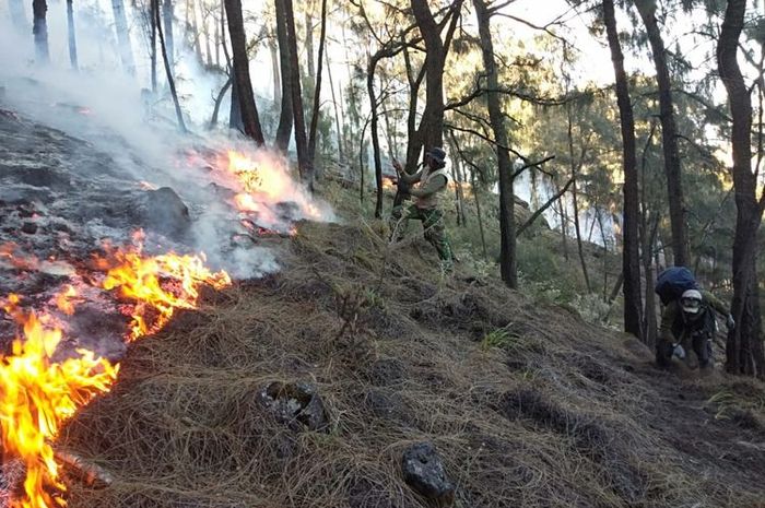 Padamkan Kebakaran Gunung Lawu, BPBD Karanganyar Kerahkan Relawan ...