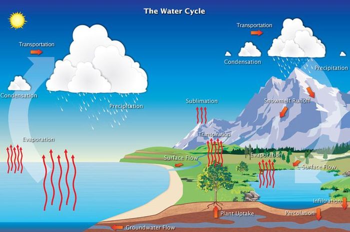 Understanding Precipitation: Meaning, Process, and Examples