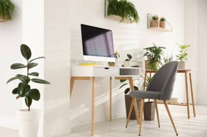 3 Manfaat Meletakkan Tanaman Hias di Ruang Kerja, Segera Terapkan