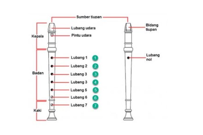 6 Cara Memainkan Recorder Dengan Benar Lengkap Dengan Penjelasannya ...