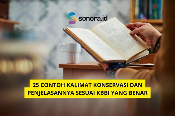 25 Contoh Kalimat Konservasi Dan Penjelasannya Sesuai KBBI Yang Benar ...