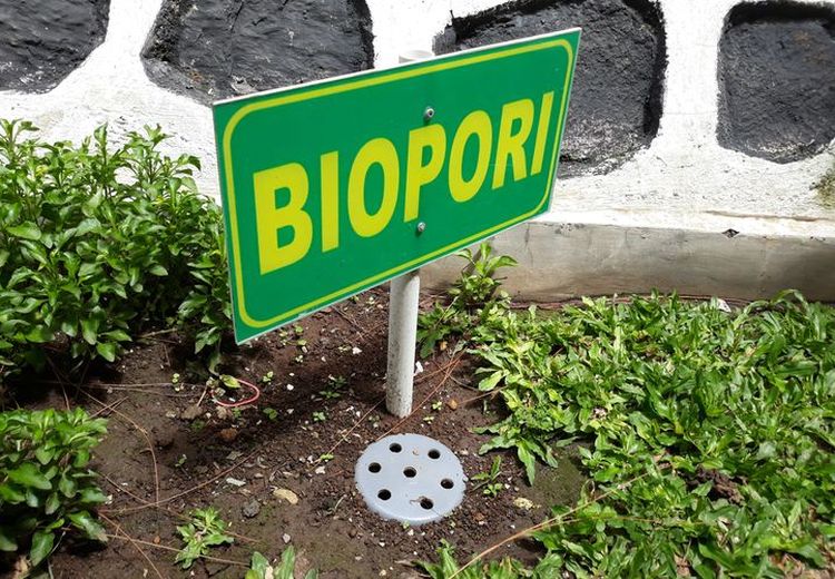 8 Manfaat Biopori bagi Manusia dan Lingkungan, Apa Saja?      