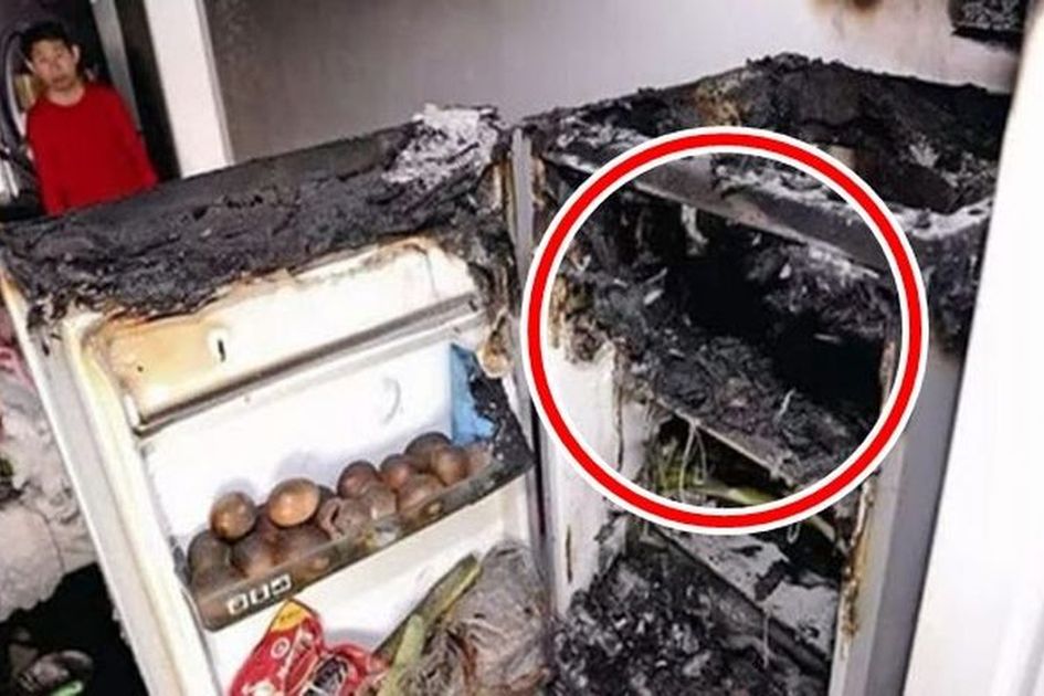 Jangan Sembarangan Meletakkan Kulkas, Efeknya Bisa Bikin Menyesal Seumur Hidup