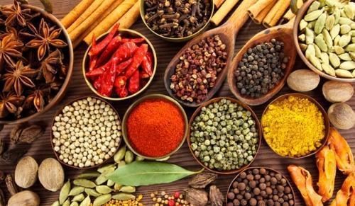 Ilustrasi rempah-rempah herbal