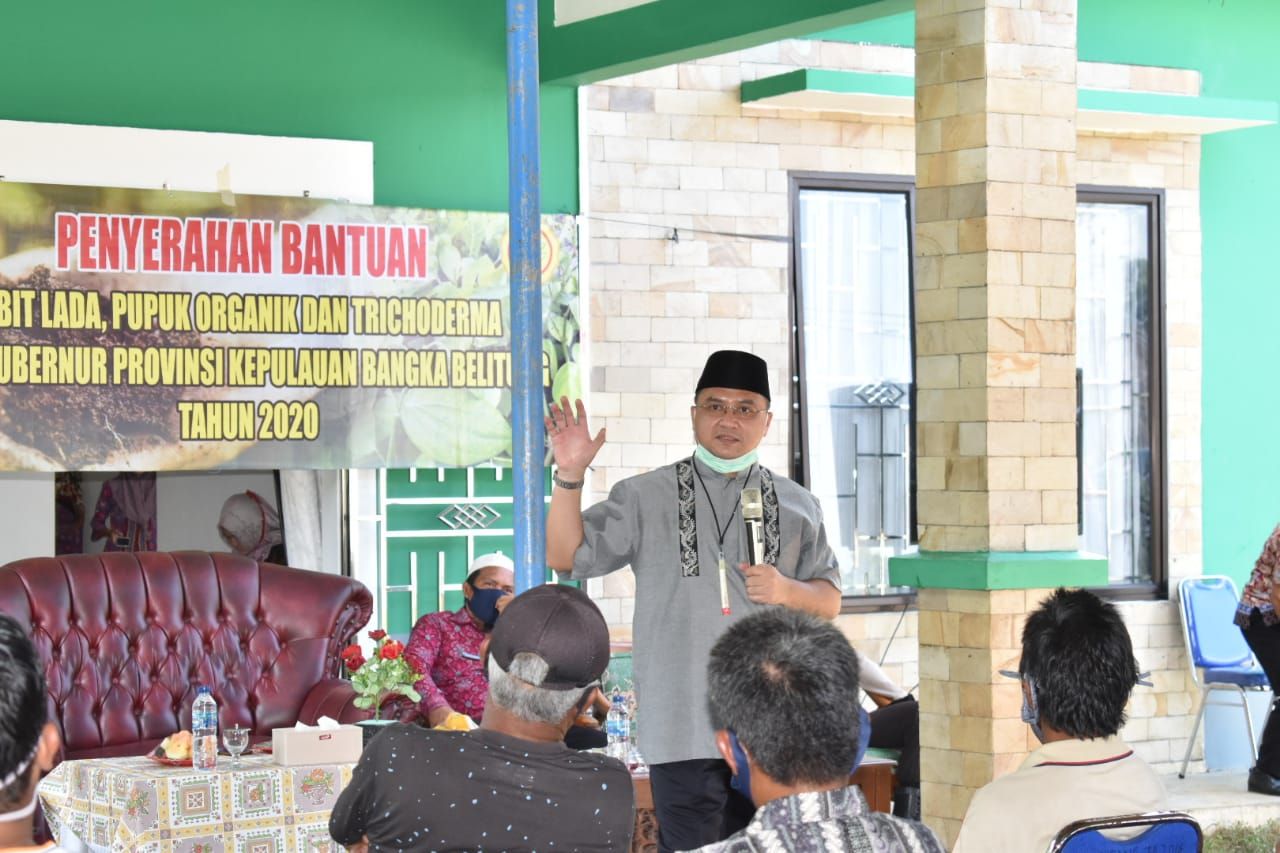 Gubernur Kepulauan Bangka Belitung, Erzaldi Rosman lanjut menyerahkan bantuan bibit lada kepada enam Kelompok tani di Desa Tugang dan dua kelompok tani di Desa Pangek Kabupaten Bangka Barat.kamis (25/06/20).
