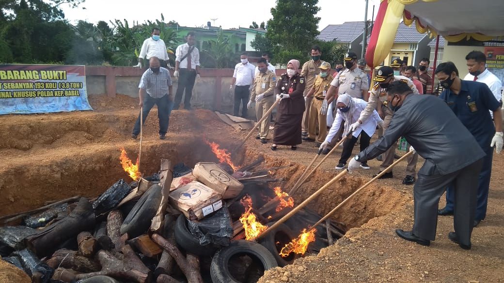 Pemusnahan daging beku ilegal di karantina hewan kelas II pangkalpinang,Senin ( 06/07/20).