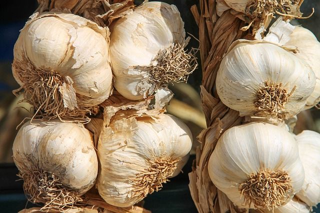 Letakkan Bawang Putih Di Telinga Bisa Timbulkan Hal Ajaib Ini Loh Sonora Id