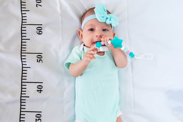 Bayi yang sedang melewati fase pertumbuhan 