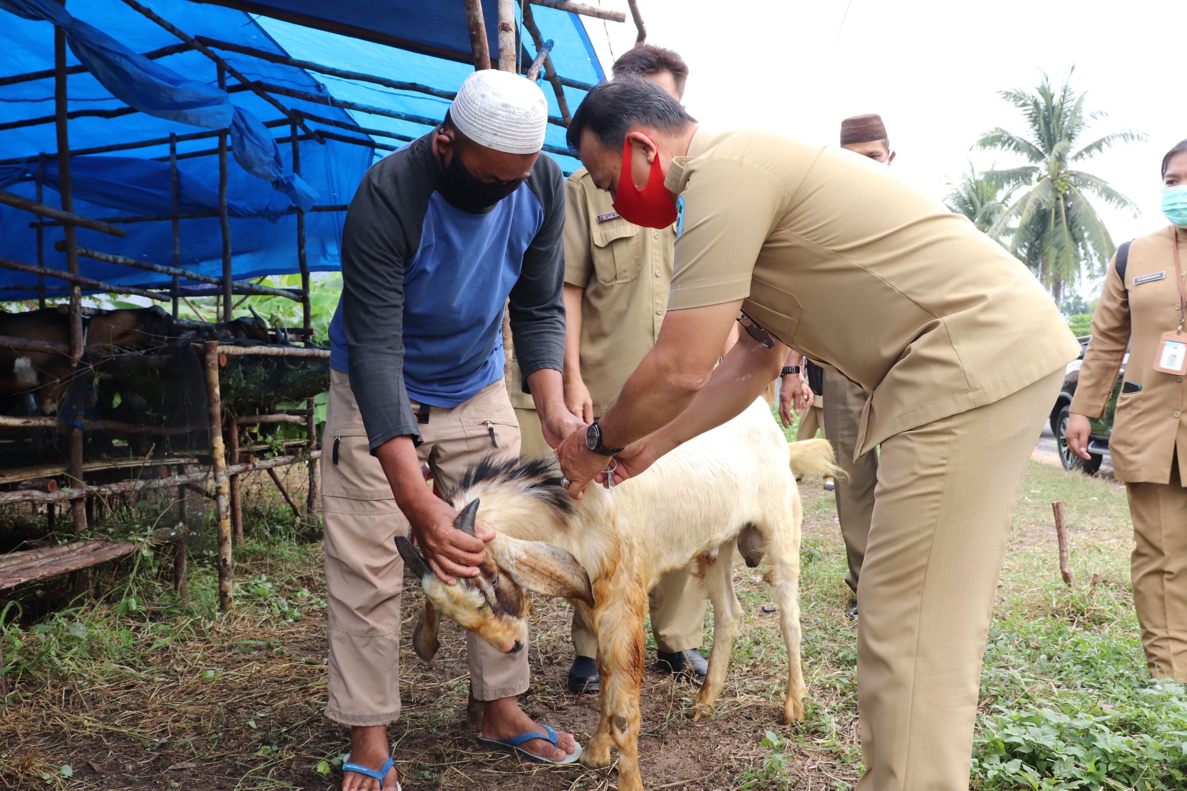 Wakil Bupati Bangka, Syahbudin Tinjau peninjauan di sejumlah tempat pemotongan dan penjualan hewan qurban, Selasa (28/7/2020).