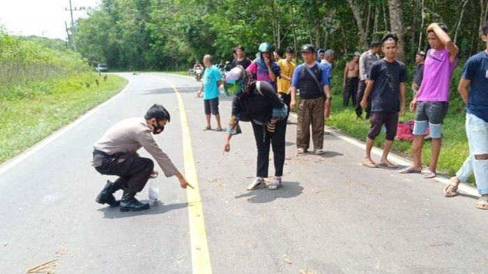 Lokasi kejadian warga Pangkalpinang tewas tertimpa pohon karet, Sabtu (19/9/2020).
