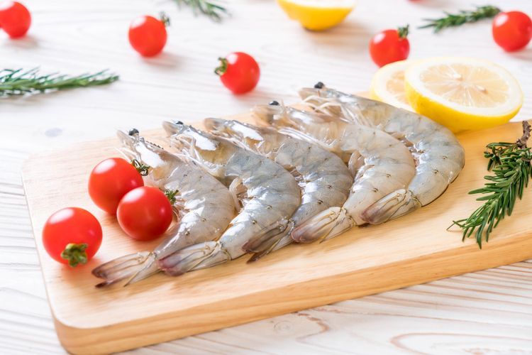 Ilustrasi udang  