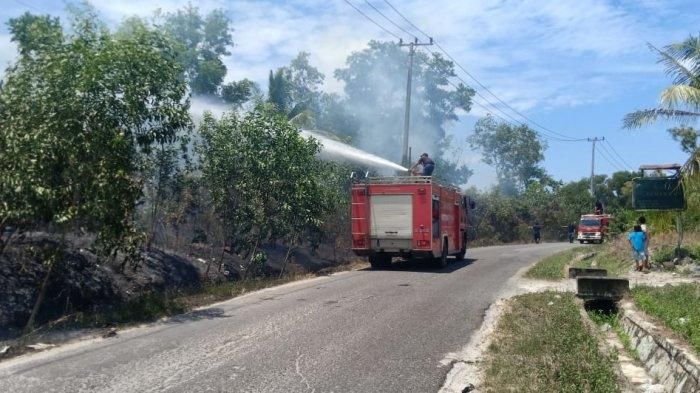 Kebakaran Semak di Kawasan Hutan Jalan Cut Nyak Dien Diduga Akibat