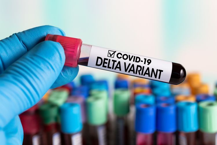 Ilustrasi varian virus corona Delta. Varian ini pertama kali diidentifikasi di India, sebelumnya dinamai B.1.617.2 