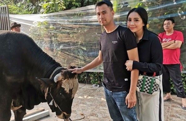 Raffi Ahmad Qurban 10 Ekor Sapi dan 10 Ekor Kambing Pada Idul Adha