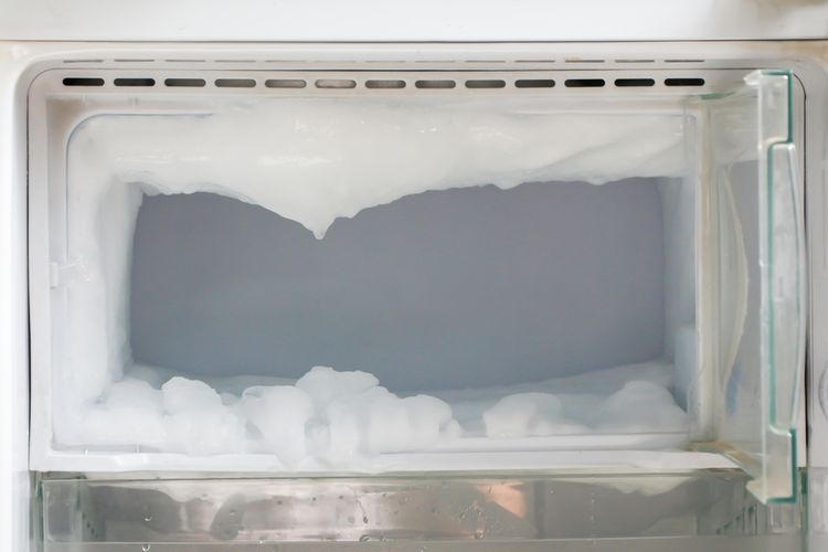 Ilustrasi feezer, bunga es di freezer. 