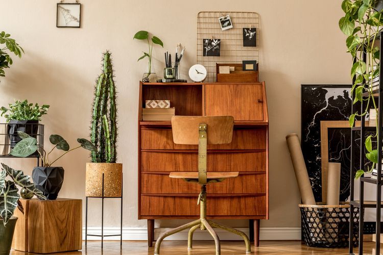 Ilustrasi tanaman hias di dalam ruangan bernuansa retro. (SHUTTERSTOCK/FOLLOWTHEFLOW) 