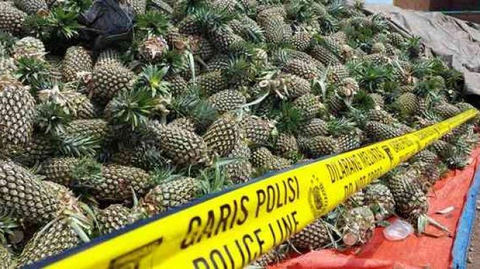 Muatan buah nanas yang dibongkar oleh petugas dari Satpol Air Polres Pangkalpinang tampak dipasangi garis polisi, Sabtu (8/1/2022).   