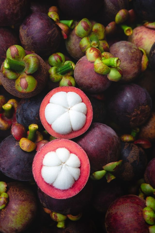 Buah manggis