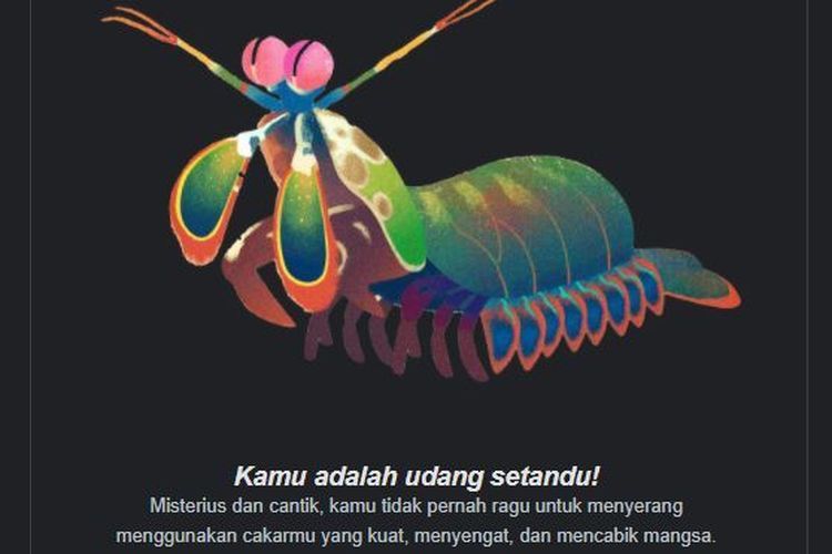 kuis hari bumi  