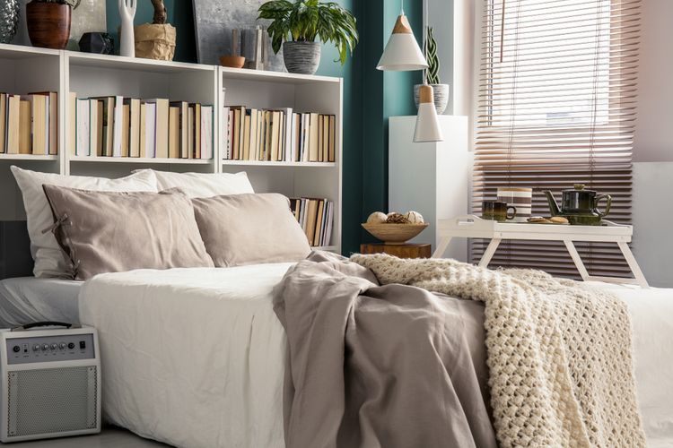 Ilustrasi kamar tidur sempit, rak buku di kamar tidur(SHUTTERSTOCK/PHOTOGRAPHEE.EU) 