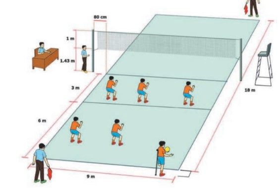 tinggi net bola voli putra