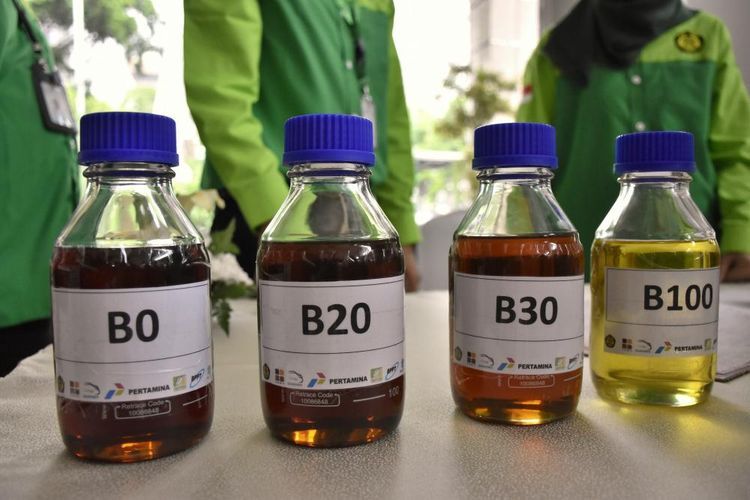 Tahun Depan Biodiesel B35 Diterapkan, Alokasi Sebesar 13 Juta Kiloliter ...