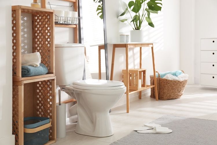 Ilustrasi toilet duduk, ilustrasi kloset duduk.(SHUTTERSTOCK / New Africa) 